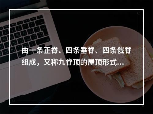 由一条正脊、四条垂脊、四条戗脊组成，又称九脊顶的屋顶形式是