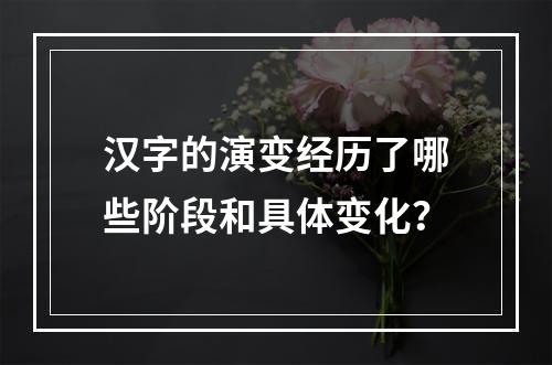 汉字的演变经历了哪些阶段和具体变化？