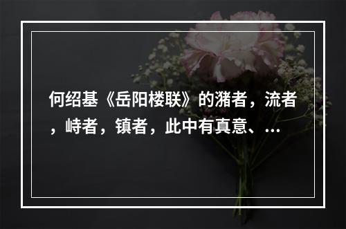 何绍基《岳阳楼联》的潴者，流者，峙者，镇者，此中有真意、中`