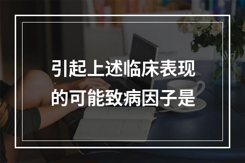 引起上述临床表现的可能致病因子是