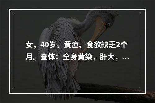 女，40岁。黄疸、食欲缺乏2个月。查体：全身黄染，肝大，胆囊