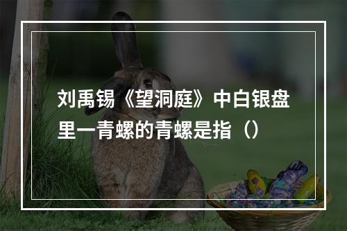 刘禹锡《望洞庭》中白银盘里一青螺的青螺是指（）