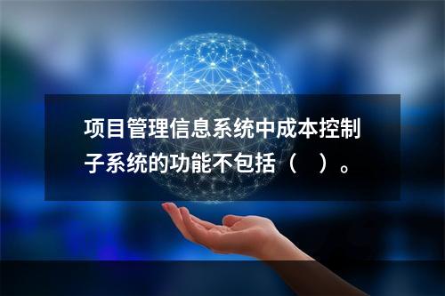 项目管理信息系统中成本控制子系统的功能不包括（　）。