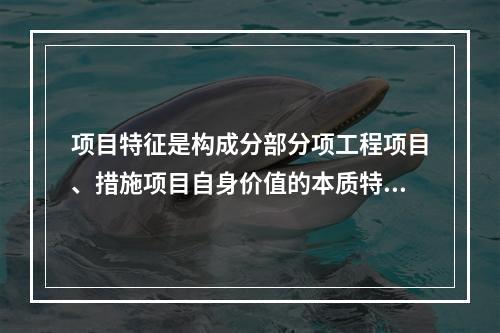 项目特征是构成分部分项工程项目、措施项目自身价值的本质特征。