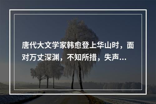 唐代大文学家韩愈登上华山时，面对万丈深渊，不知所措，失声痛