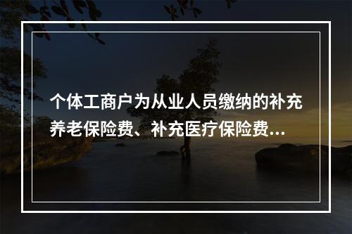 个体工商户为从业人员缴纳的补充养老保险费、补充医疗保险费，分