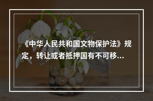 《中华人民共和国文物保护法》规定，转让或者抵押国有不可移动