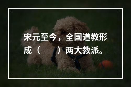 宋元至今，全国道教形成（　　）两大教派。