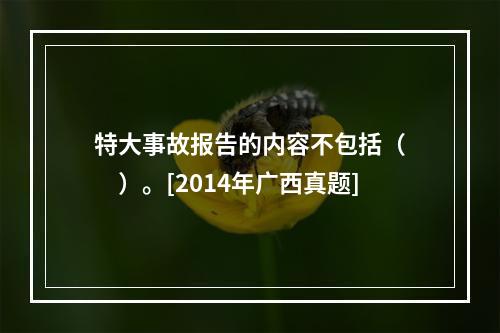 特大事故报告的内容不包括（　　）。[2014年广西真题]