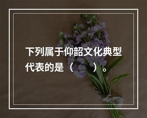 下列属于仰韶文化典型代表的是（　　）。