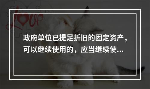 政府单位已提足折旧的固定资产，可以继续使用的，应当继续使用，