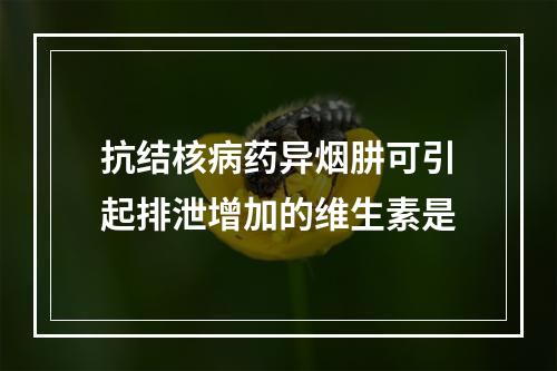 抗结核病药异烟肼可引起排泄增加的维生素是