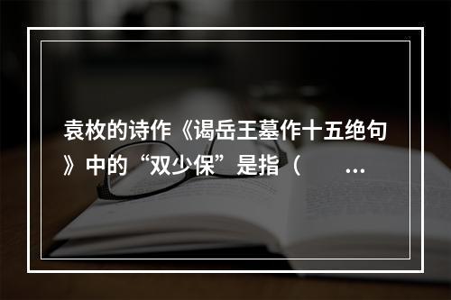 袁枚的诗作《谒岳王墓作十五绝句》中的“双少保”是指（　　）