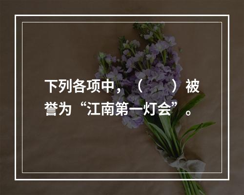 下列各项中，（　　）被誉为“江南第一灯会”。