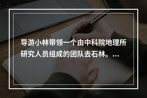 导游小林带领一个由中科院地理所研究人员组成的团队去石林。上