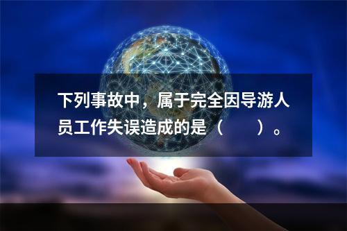 下列事故中，属于完全因导游人员工作失误造成的是（　　）。