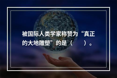 被国际人类学家称赞为“真正的大地雕塑”的是（　　）。