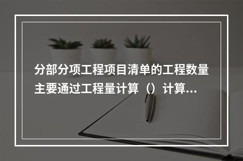 分部分项工程项目清单的工程数量主要通过工程量计算（）计算得到