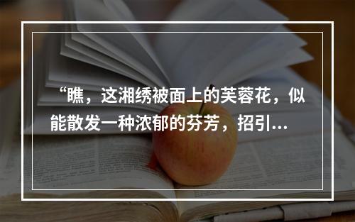 “瞧，这湘绣被面上的芙蓉花，似能散发一种浓郁的芬芳，招引着