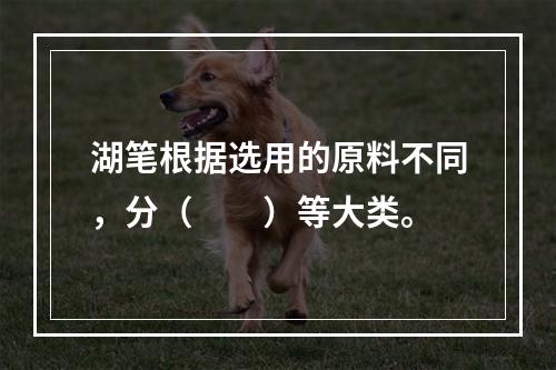 湖笔根据选用的原料不同，分（　　）等大类。