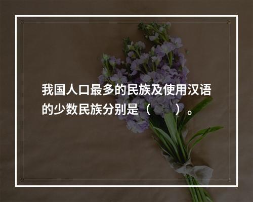 我国人口最多的民族及使用汉语的少数民族分别是（　　）。