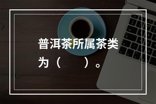 普洱茶所属茶类为（　　）。