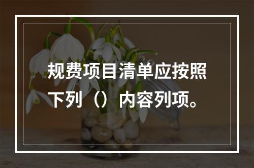 规费项目清单应按照下列（）内容列项。