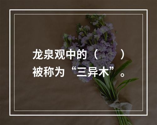 龙泉观中的（　　）被称为“三异木”。