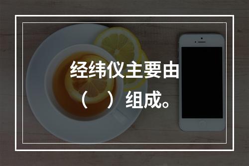 经纬仪主要由（　）组成。