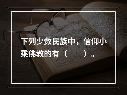 下列少数民族中，信仰小乘佛教的有（　　）。