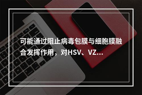 可能通过阻止病毒包膜与细胞膜融合发挥作用，对HSV、VZV、