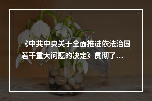 《中共中央关于全面推进依法治国若干重大问题的决定》贯彻了十