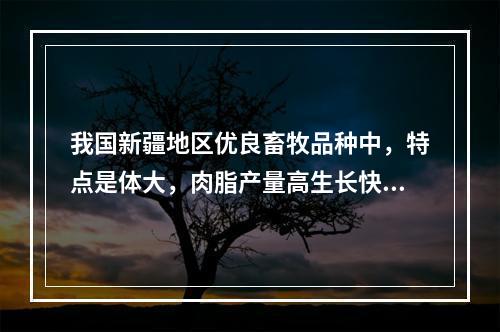 我国新疆地区优良畜牧品种中，特点是体大，肉脂产量高生长快，