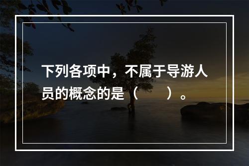 下列各项中，不属于导游人员的概念的是（　　）。