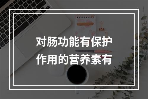 对肠功能有保护作用的营养素有