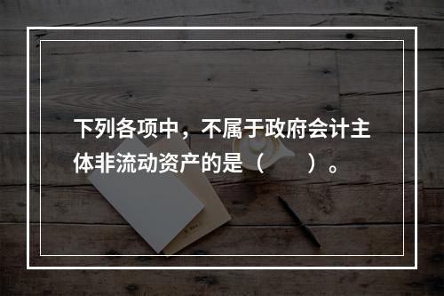 下列各项中，不属于政府会计主体非流动资产的是（　　）。