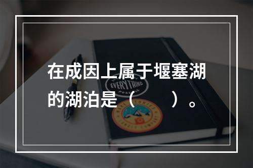 在成因上属于堰塞湖的湖泊是（　　）。