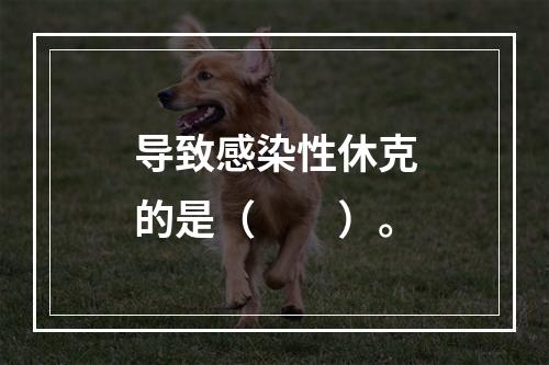 导致感染性休克的是（　　）。