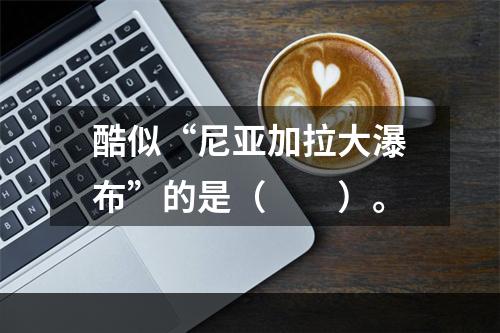 酷似“尼亚加拉大瀑布”的是（　　）。