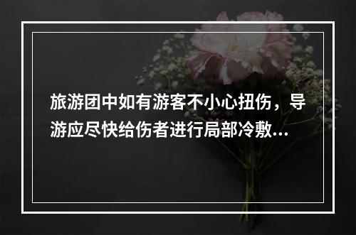 旅游团中如有游客不小心扭伤，导游应尽快给伤者进行局部冷敷，