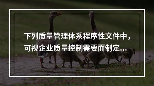 下列质量管理体系程序性文件中，可视企业质量控制需要而制定，不