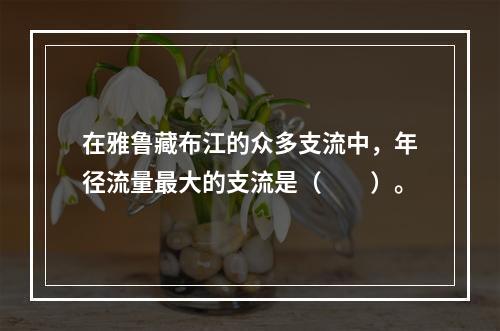 在雅鲁藏布江的众多支流中，年径流量最大的支流是（　　）。