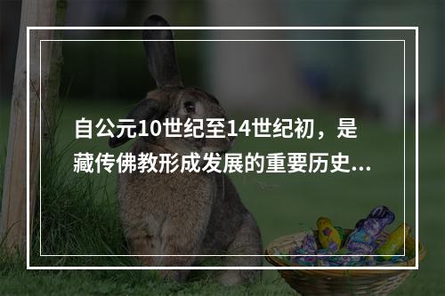 自公元10世纪至14世纪初，是藏传佛教形成发展的重要历史时