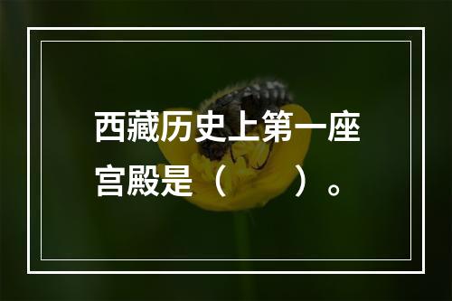 西藏历史上第一座宫殿是（　　）。