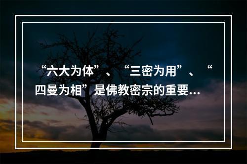 “六大为体”、“三密为用”、“四曼为相”是佛教密宗的重要理