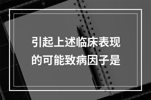 引起上述临床表现的可能致病因子是