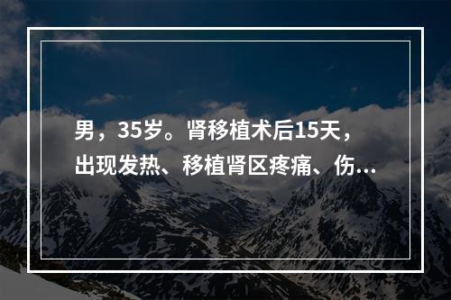 男，35岁。肾移植术后15天，出现发热、移植肾区疼痛、伤口渗