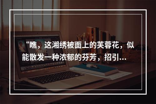 “瞧，这湘绣被面上的芙蓉花，似能散发一种浓郁的芬芳，招引着