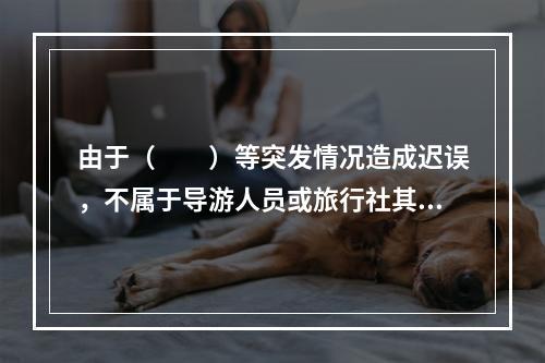 由于（　　）等突发情况造成迟误，不属于导游人员或旅行社其他