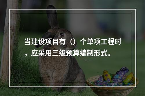 当建设项目有（）个单项工程时，应采用三级预算编制形式。